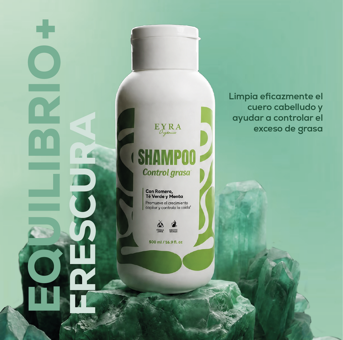 Shampoo Control Grasa