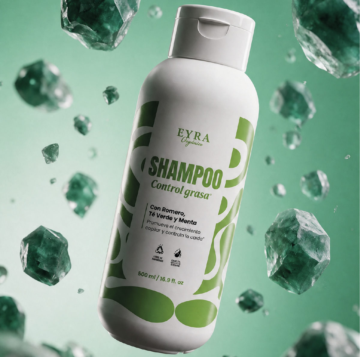 Shampoo Control Grasa